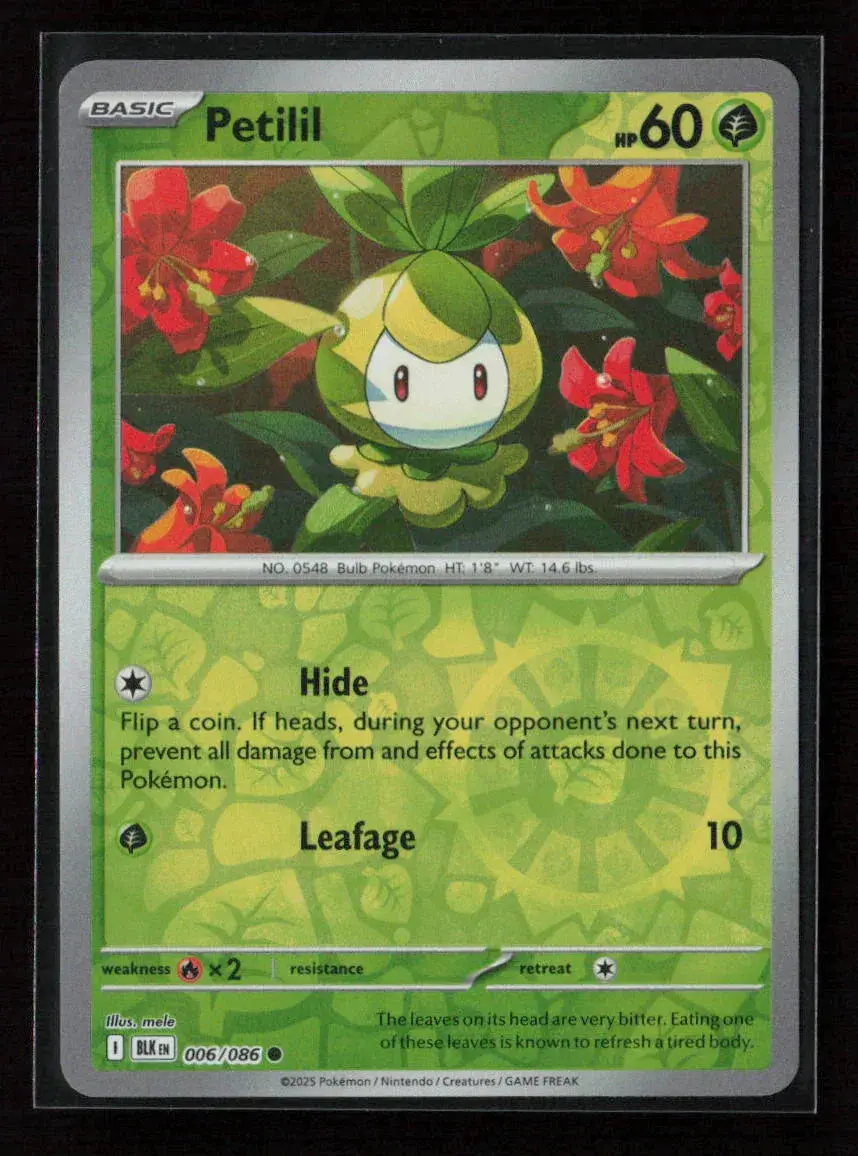 Petilil Common Sv: Black Bolt 006/086 Nm 1