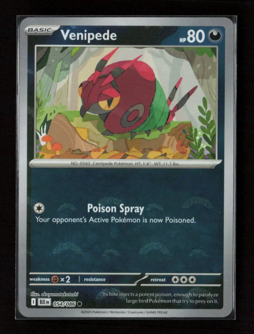 Venipede (Poke Ball Pattern) Common Sv: Black Bolt 054/086 Nm 1