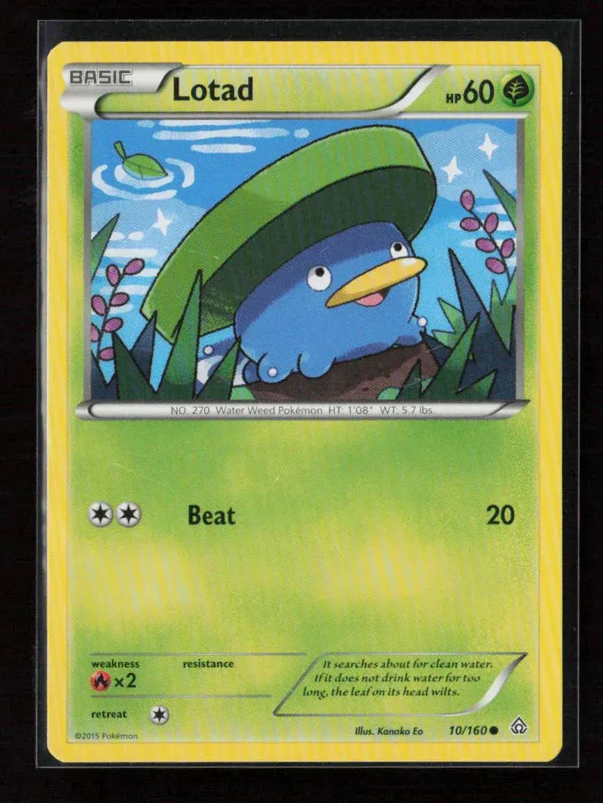 Lotad Common Xy - Primal Clash 10/160 Nm 1