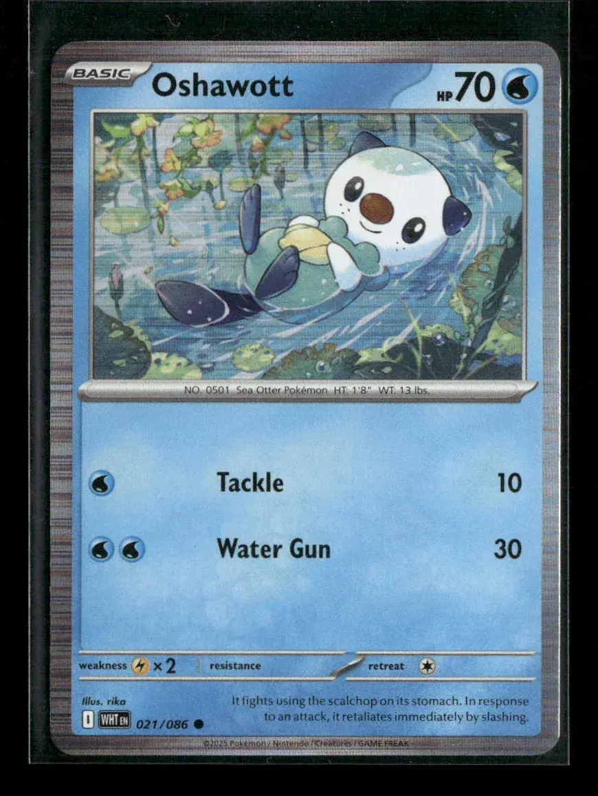 Oshawott Common Sv: White Flare 021/086 Nm 1