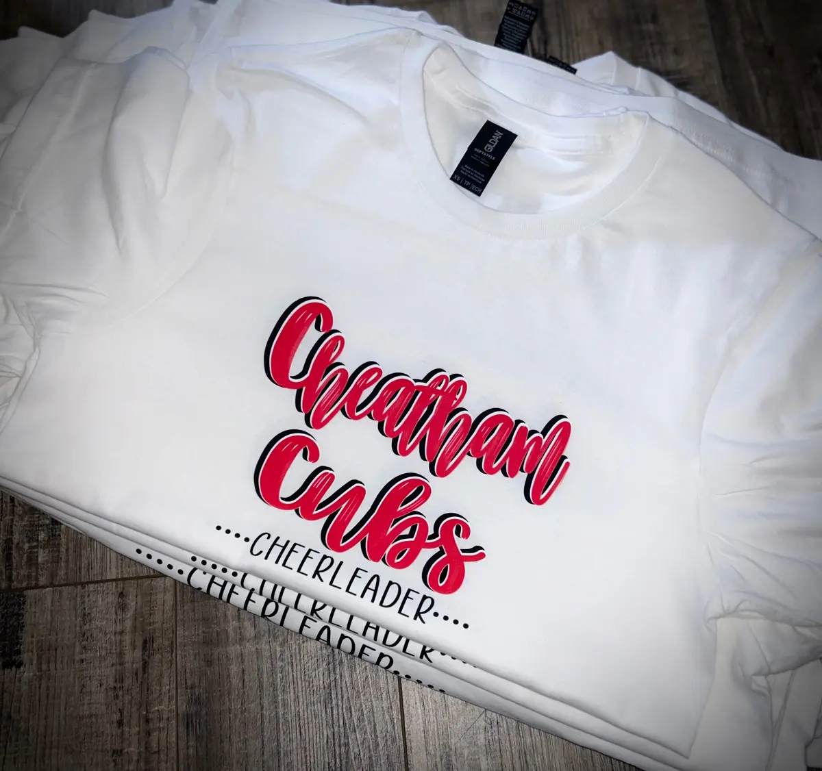 Cheatham Cubs Cheerleading 1
