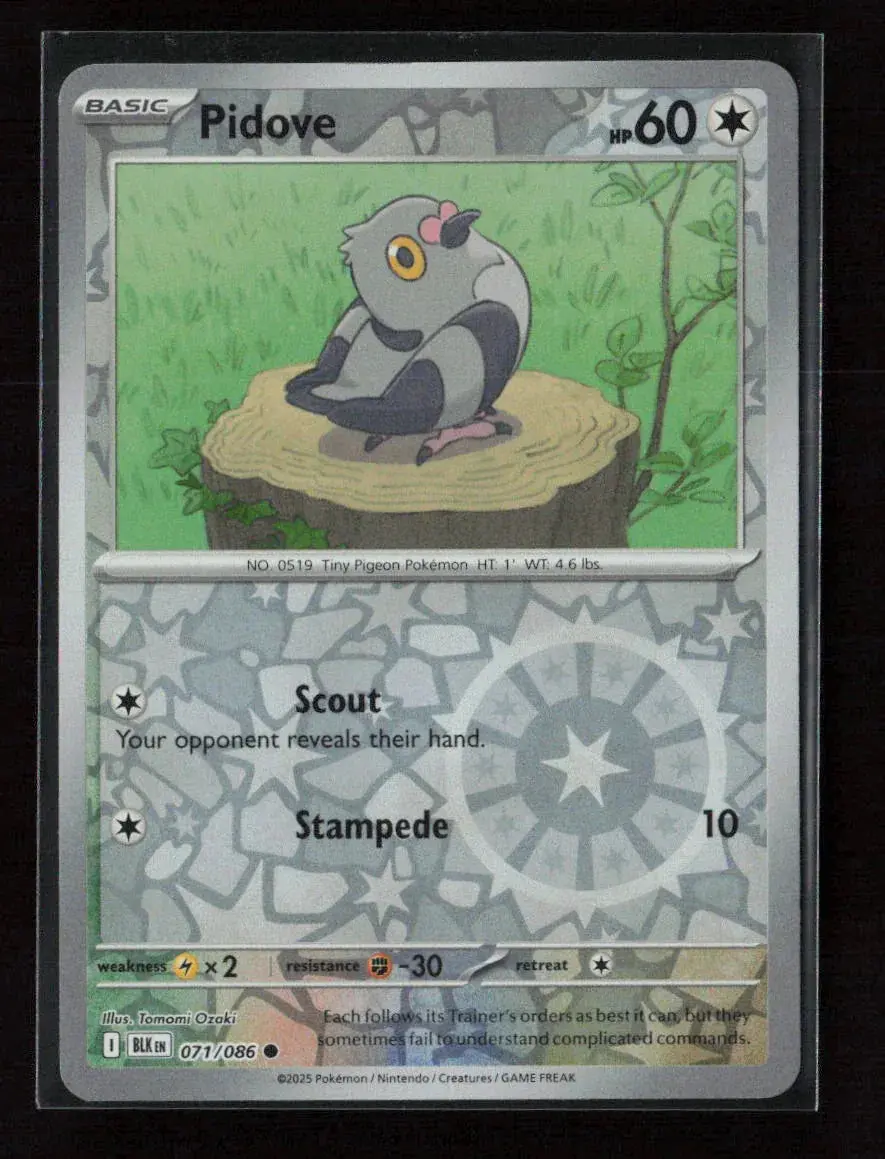 Pidove Common Sv: Black Bolt 071/086 Nm 1