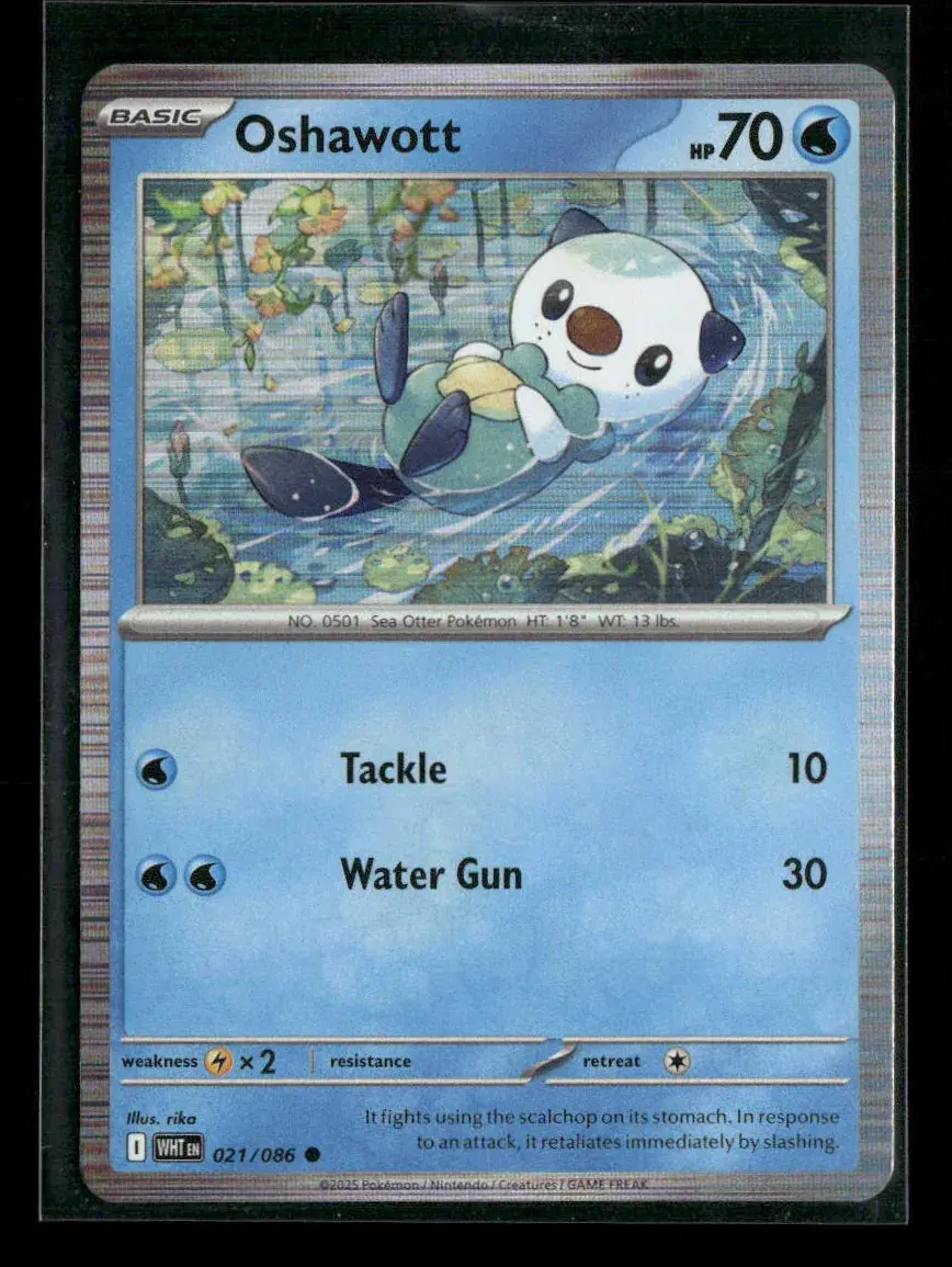 Oshawott Common Sv: White Flare 021/086 Nm 1