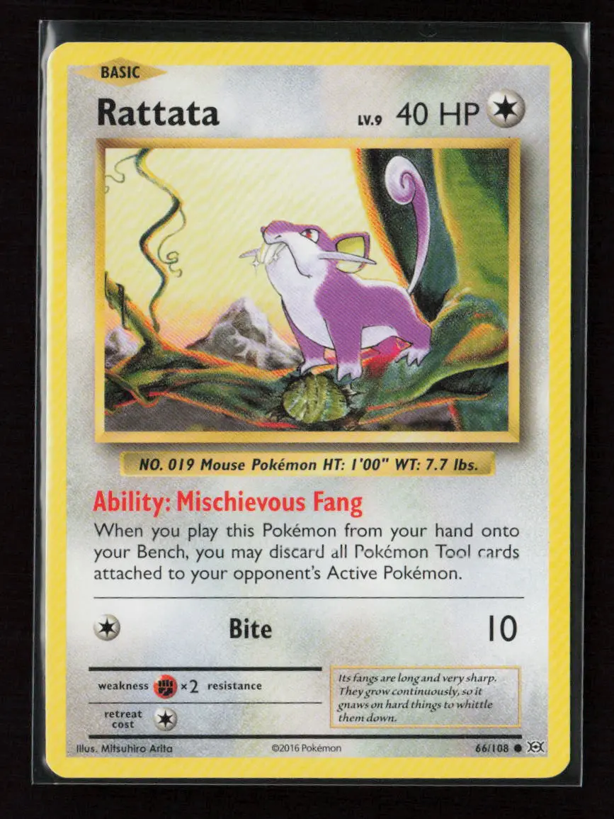 Rattata Common Xy - Evolutions 66/108 Lp 1