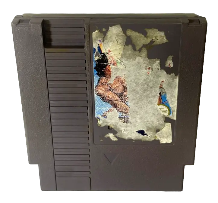 Temco World Wrestling Nintendo Nes Pal (B Grade) 1
