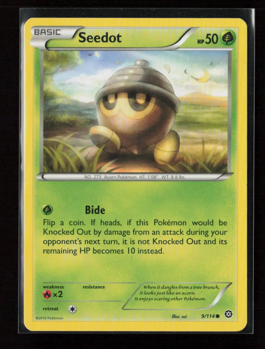 Seedot Common Xy - Steam Siege 9/114 Lp 1