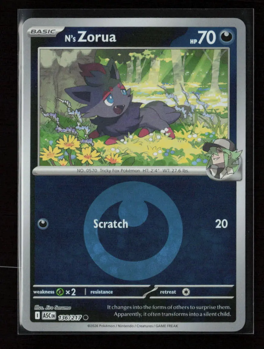N's Zorua Common Me: Ascended Heroes 136/217 Nm 1