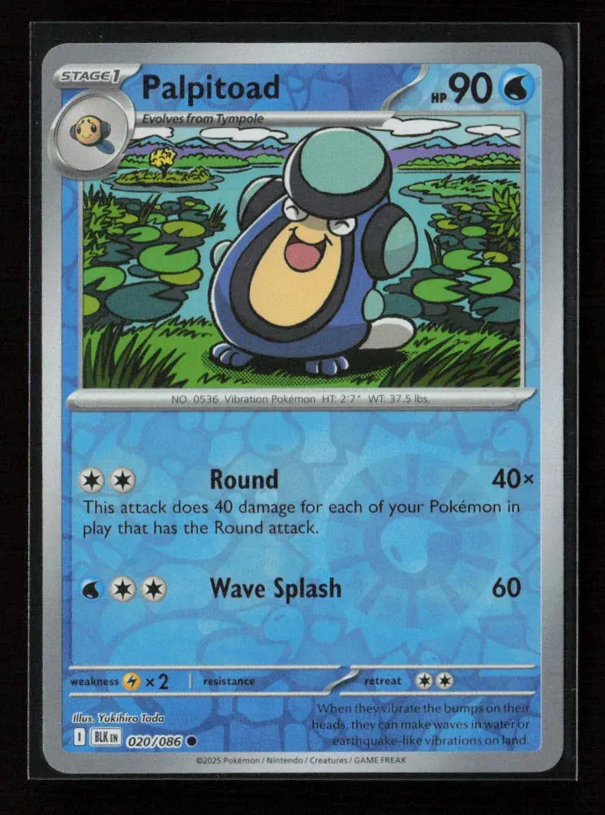 Palpitoad Common Sv: Black Bolt 020/086 Nm 1