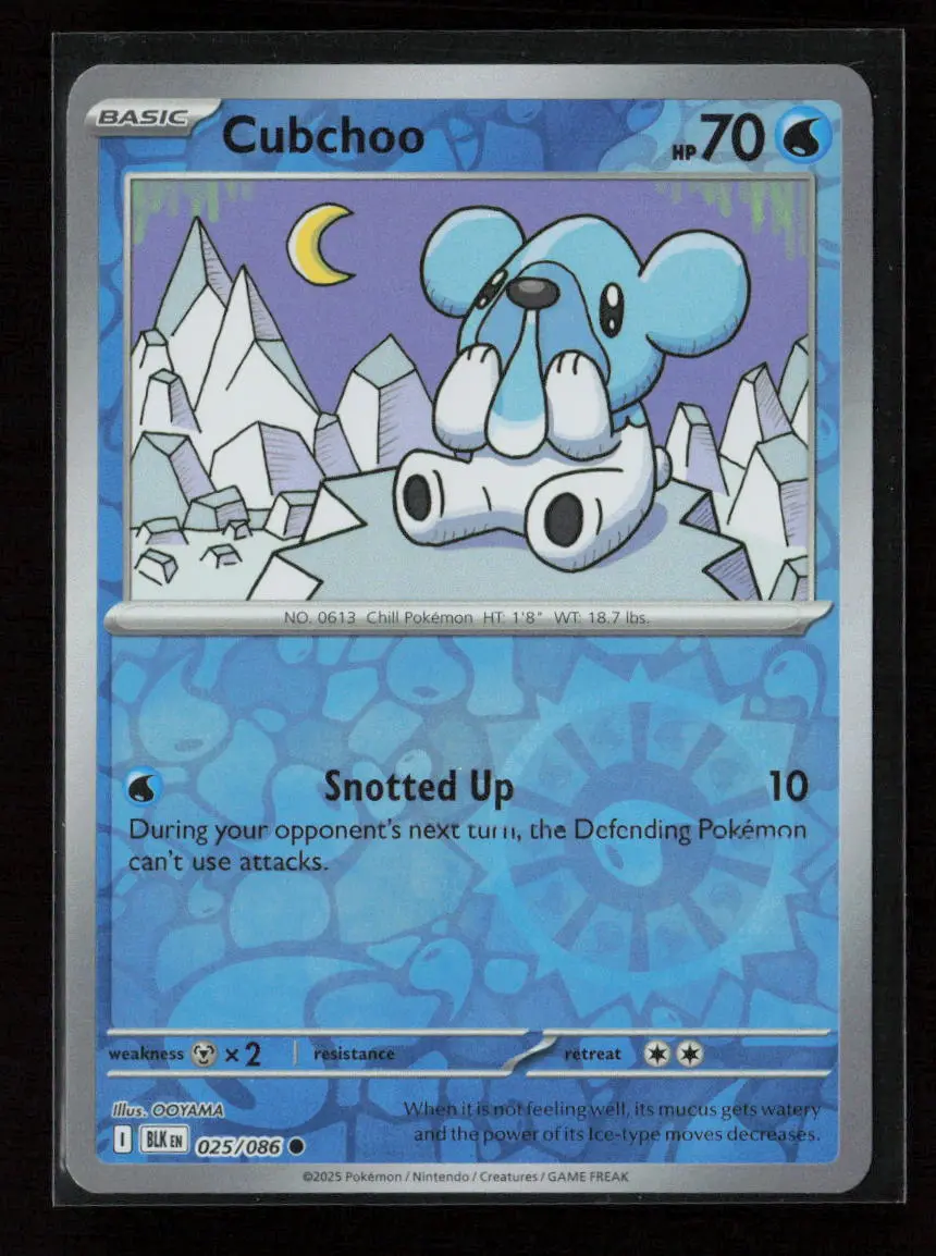 Cubchoo Common Sv: Black Bolt 025/086 Nm 1