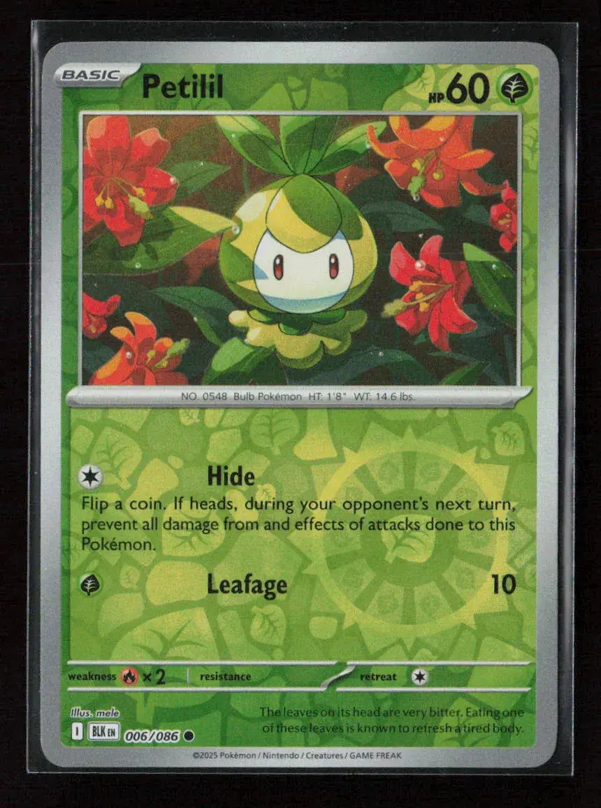 Petilil Common Sv: Black Bolt 006/086 Nm 1