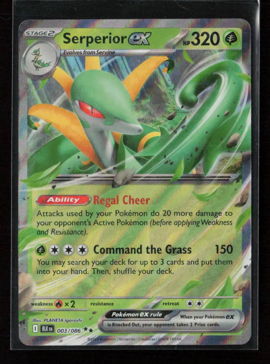 Serperior Ex Double Rare Sv: Black Bolt 003/086 Nm 1