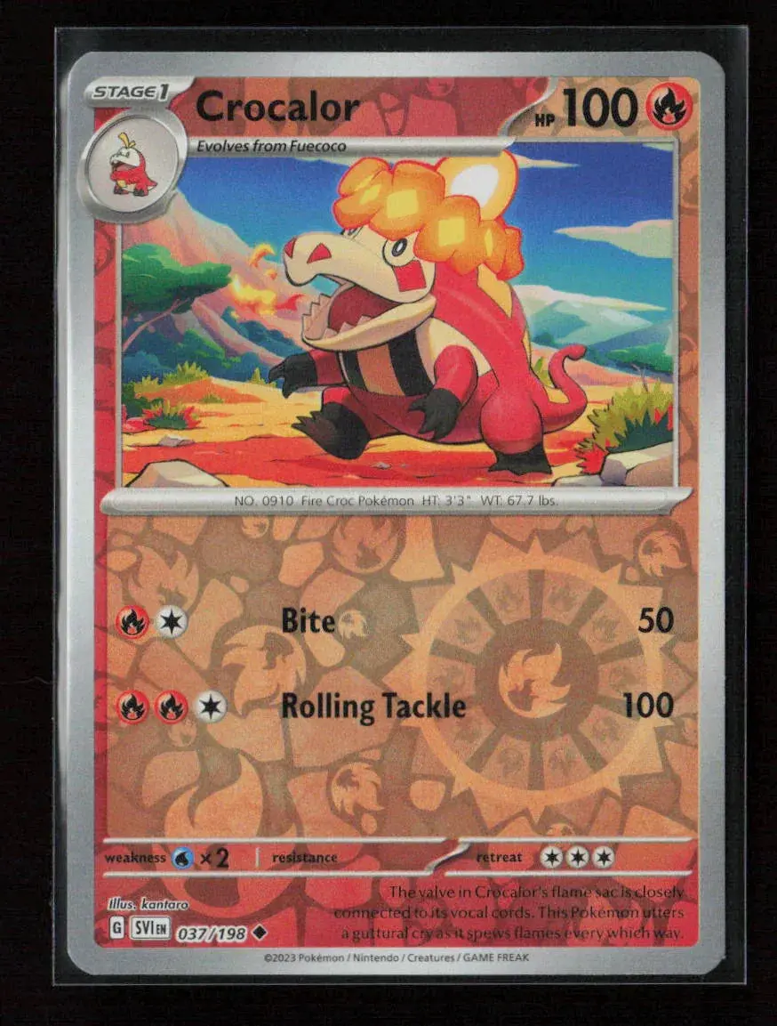 Crocalor Uncommon Sv01: Scarlet & Violet Base Set 037/198 Nm 1