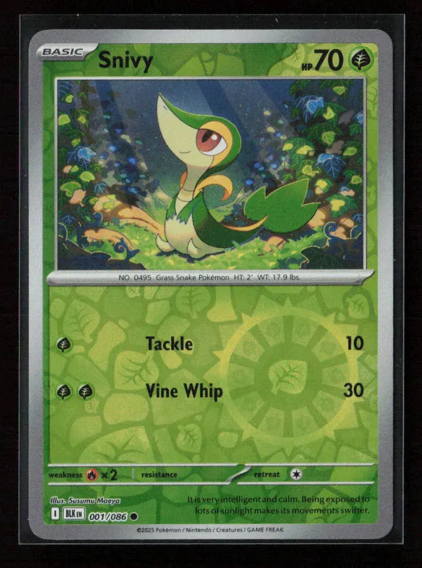 Snivy Common Sv: Black Bolt 001/086 Nm 1