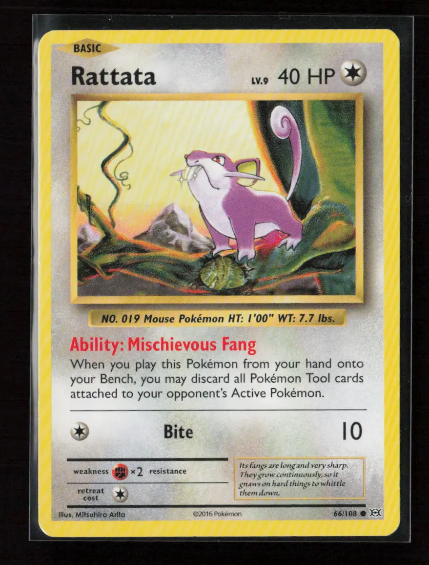 Rattata Common Xy - Evolutions 66/108 Lp 1