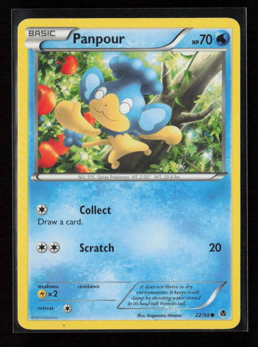 Panpour Common Emerging Powers 22/98 Nm 1