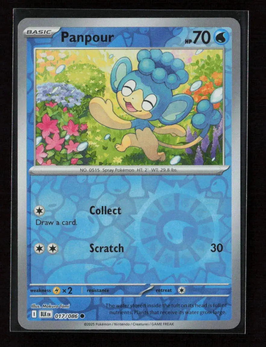 Panpour Common Sv: Black Bolt 017/086 Nm 1