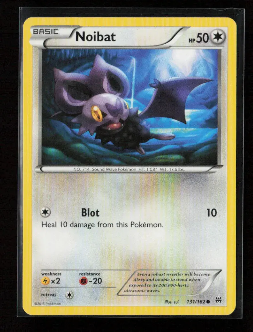 Noibat (131) Common Xy - Breakthrough 131/162 Nm 1