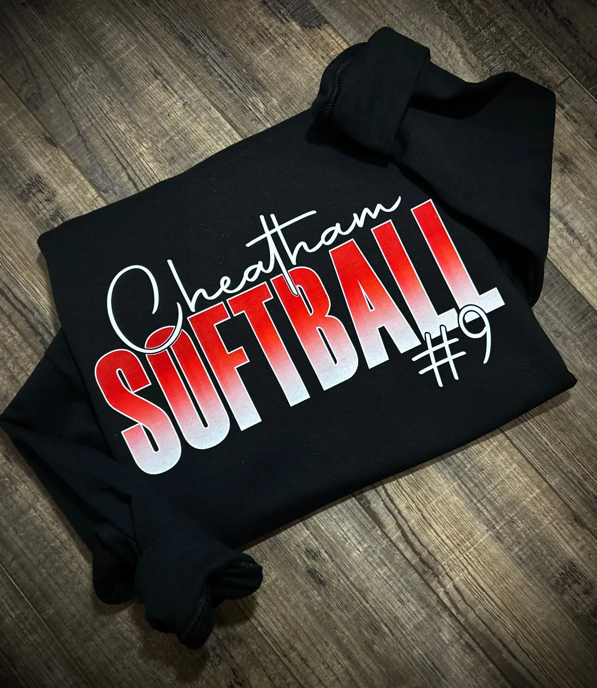 Cheatham Softball 1