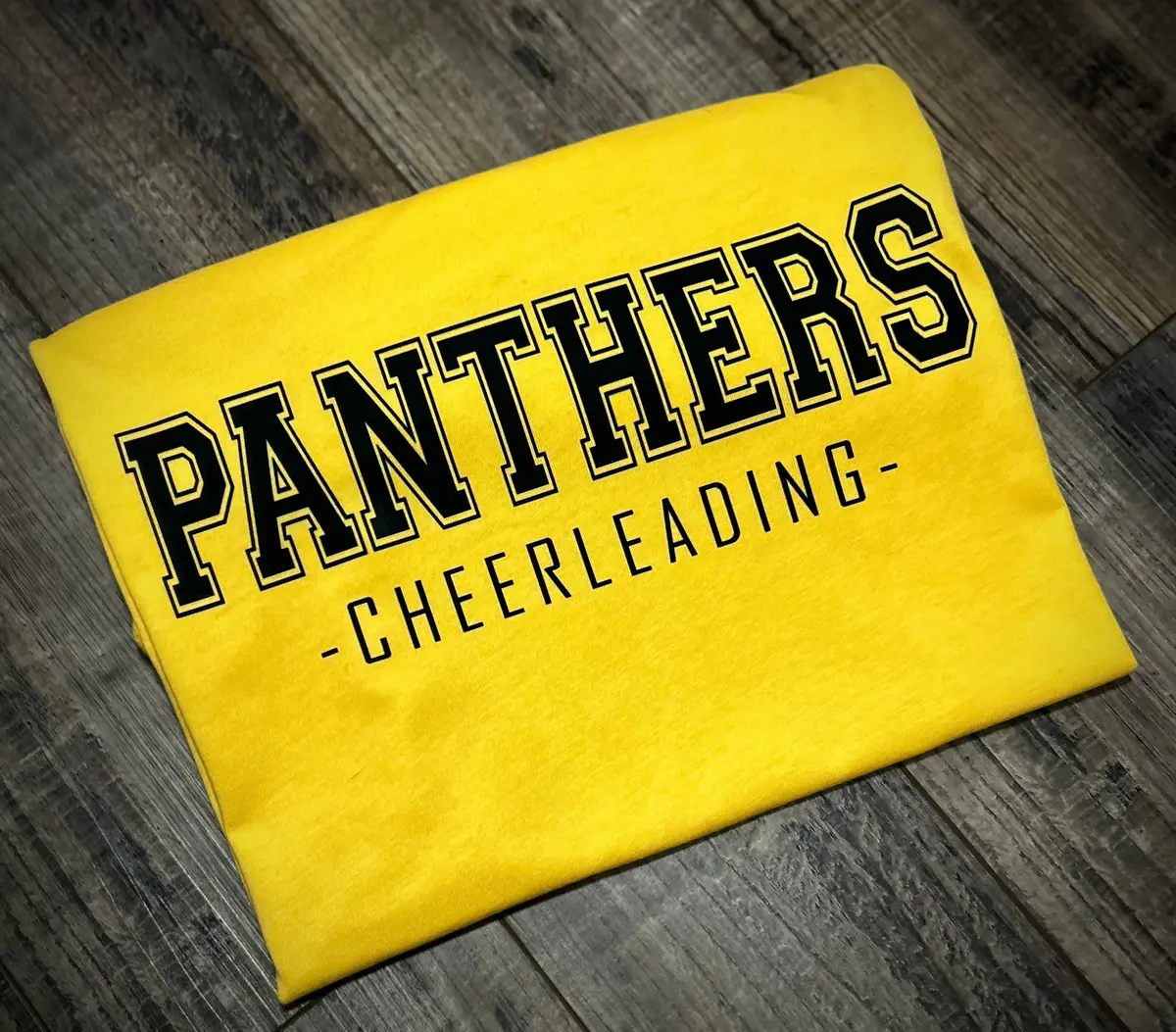 Panthers Cheerleading 1