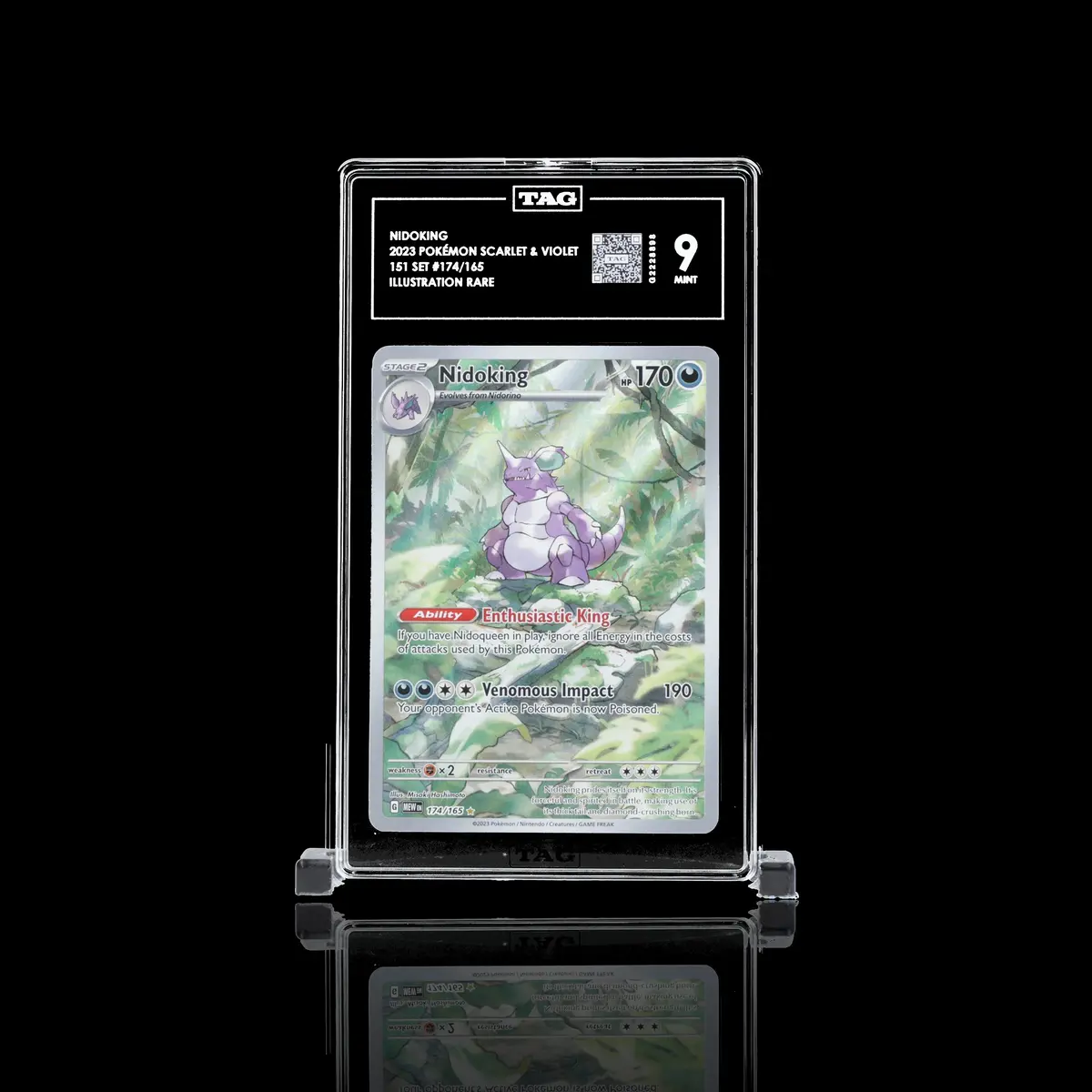 Tag 9.0 - Nidoking #174 1