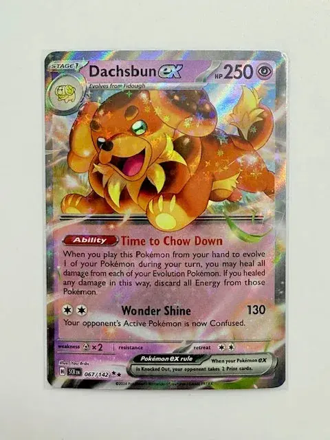 Dachsbun Ex #067 1