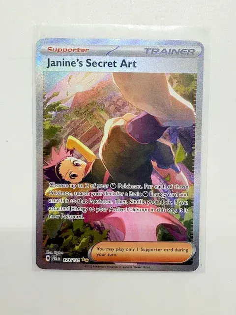 Janine's Secret Art #173 1