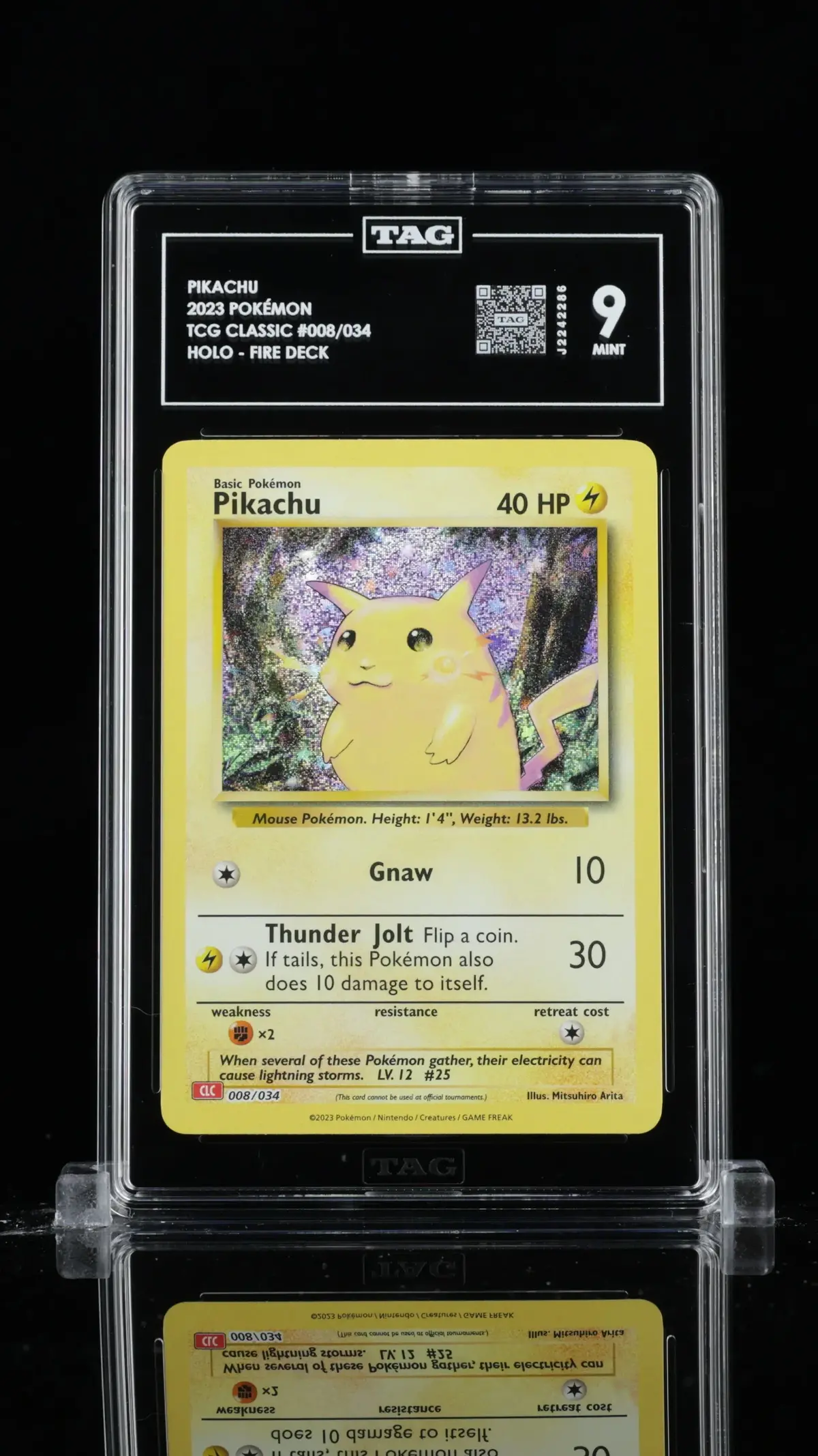 Tag 9 -Pikachu #008 1