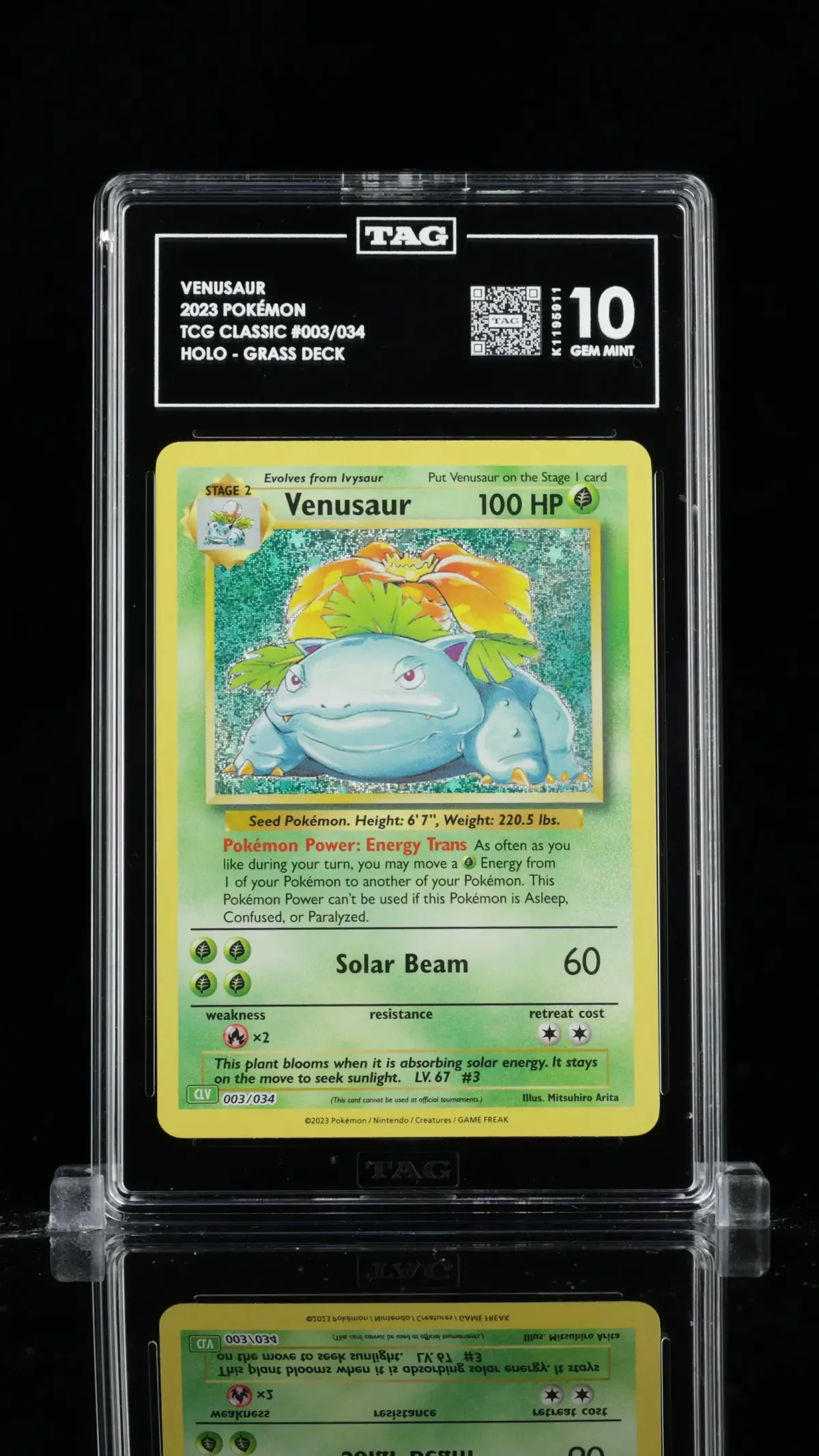 Tag 10 -Venusaur #003 1