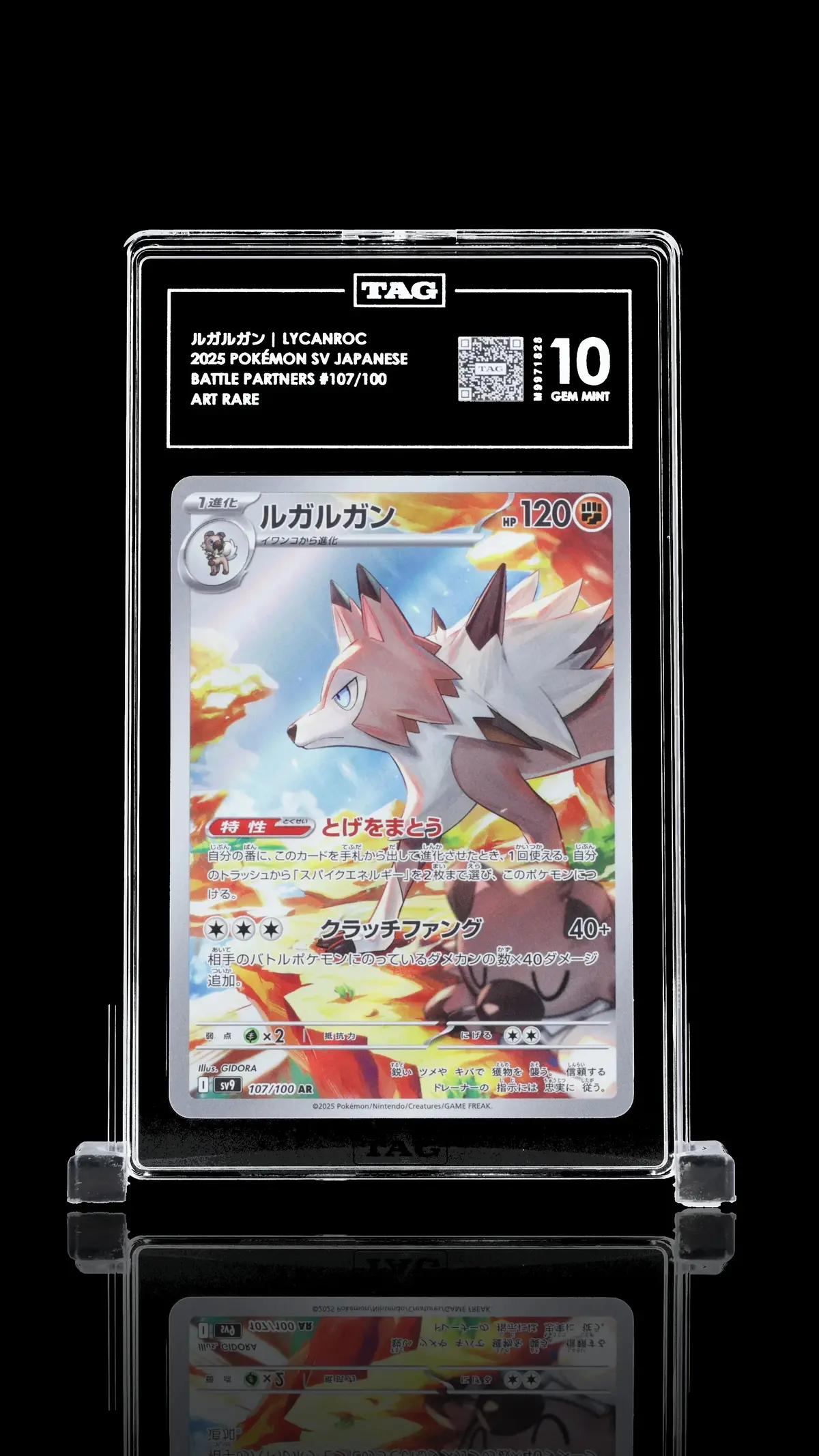 Tag 10 - Lycanroc #107 1