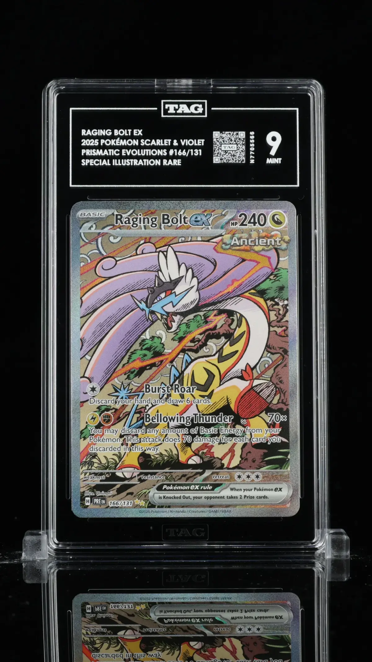 Tag 9 - Raging Bolt Ex. #166 1