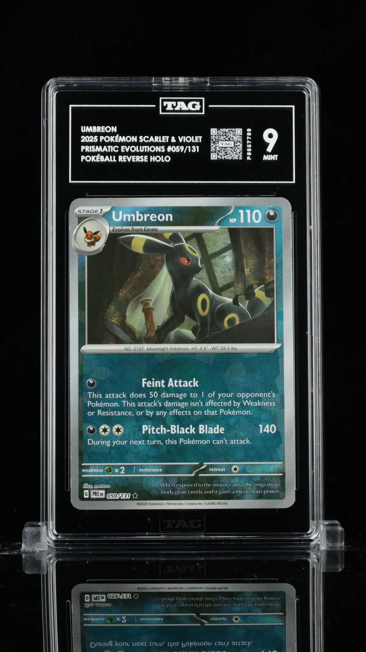 Tag 9 - Umbreon #059 - Pokeball 1