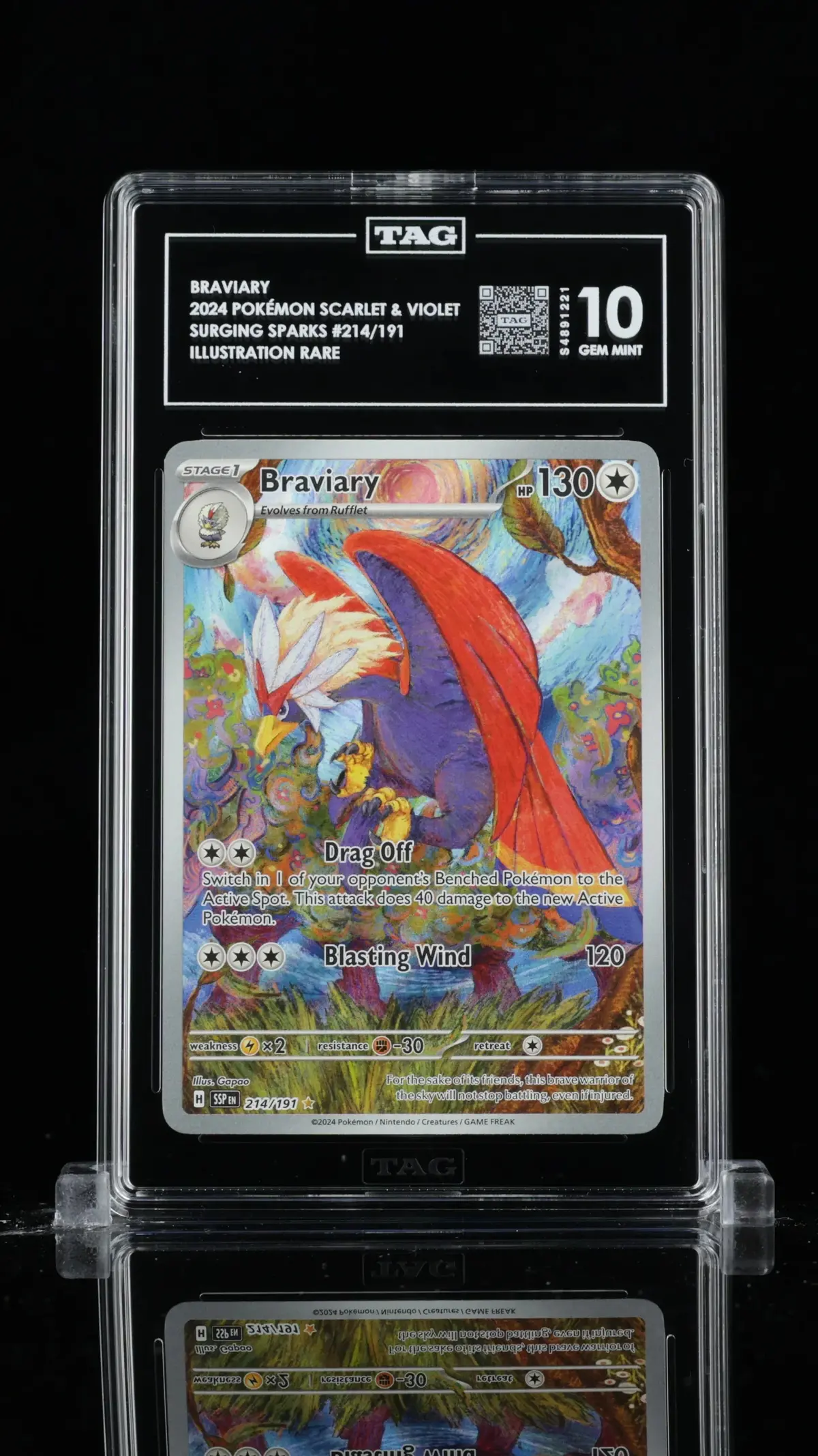 Tag 10 - Braviary #214 1