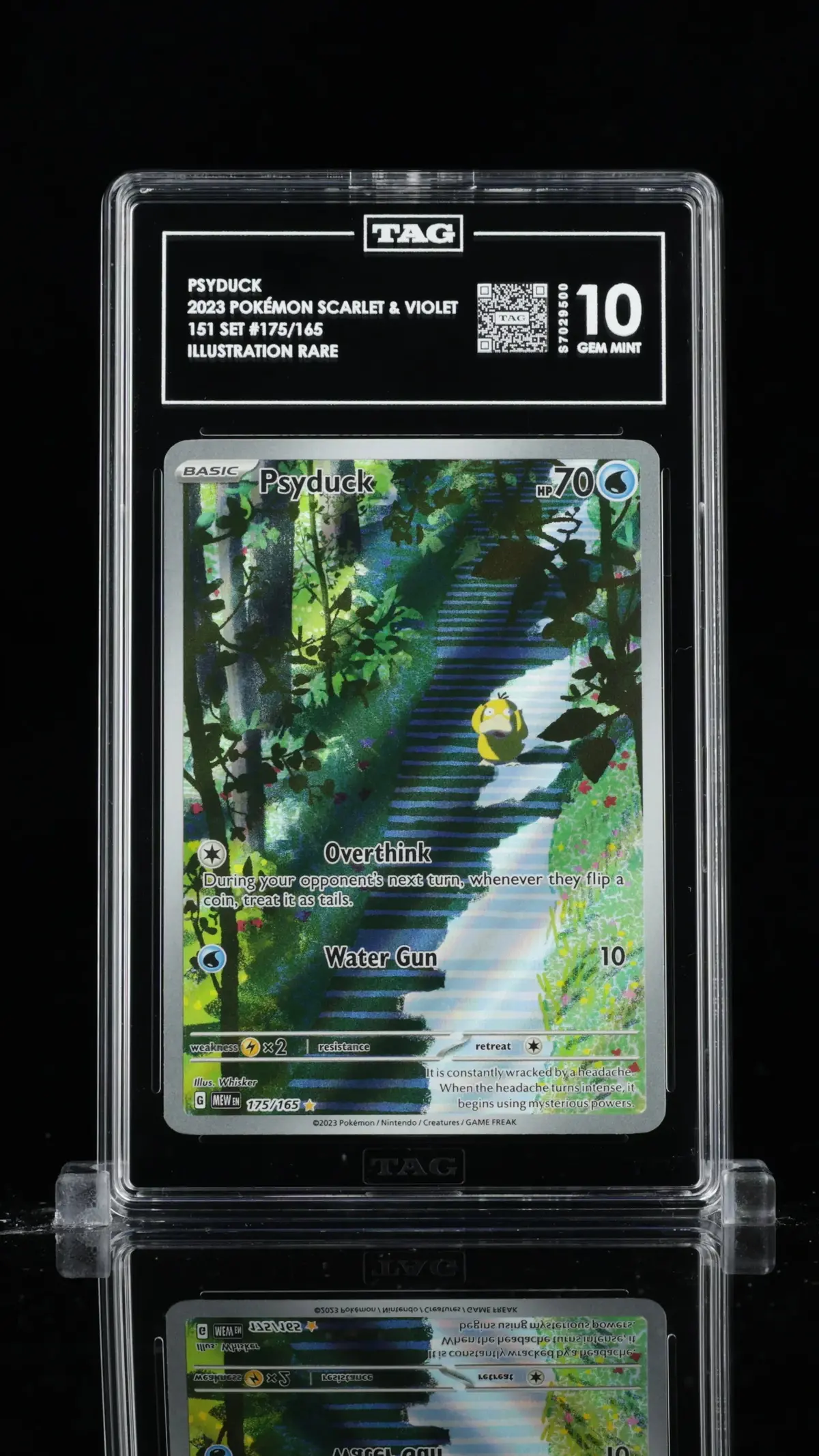 Tag 10 - Psyduck #175 1