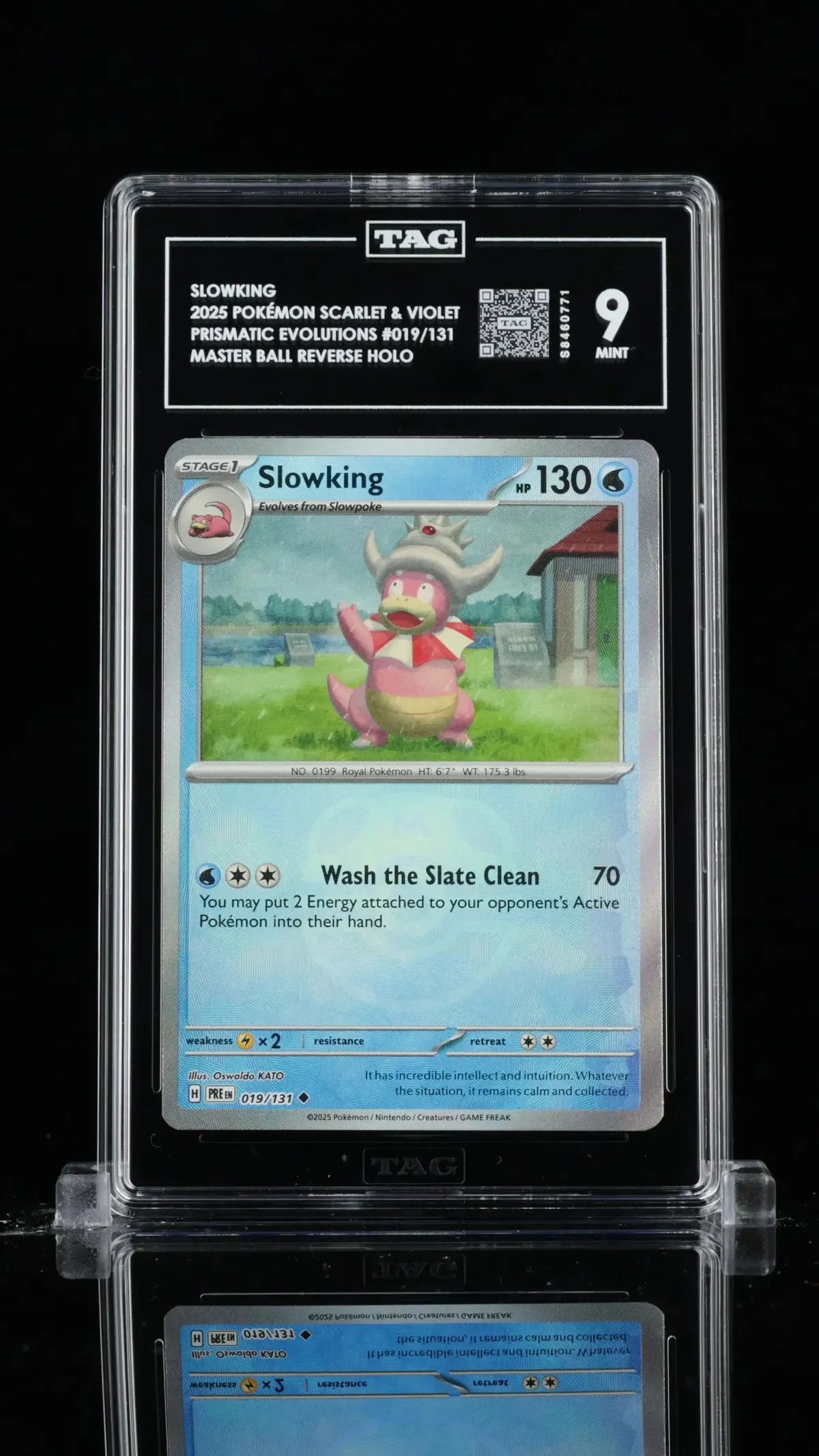 Tag 9 - Slowking #019 - Masterball 1