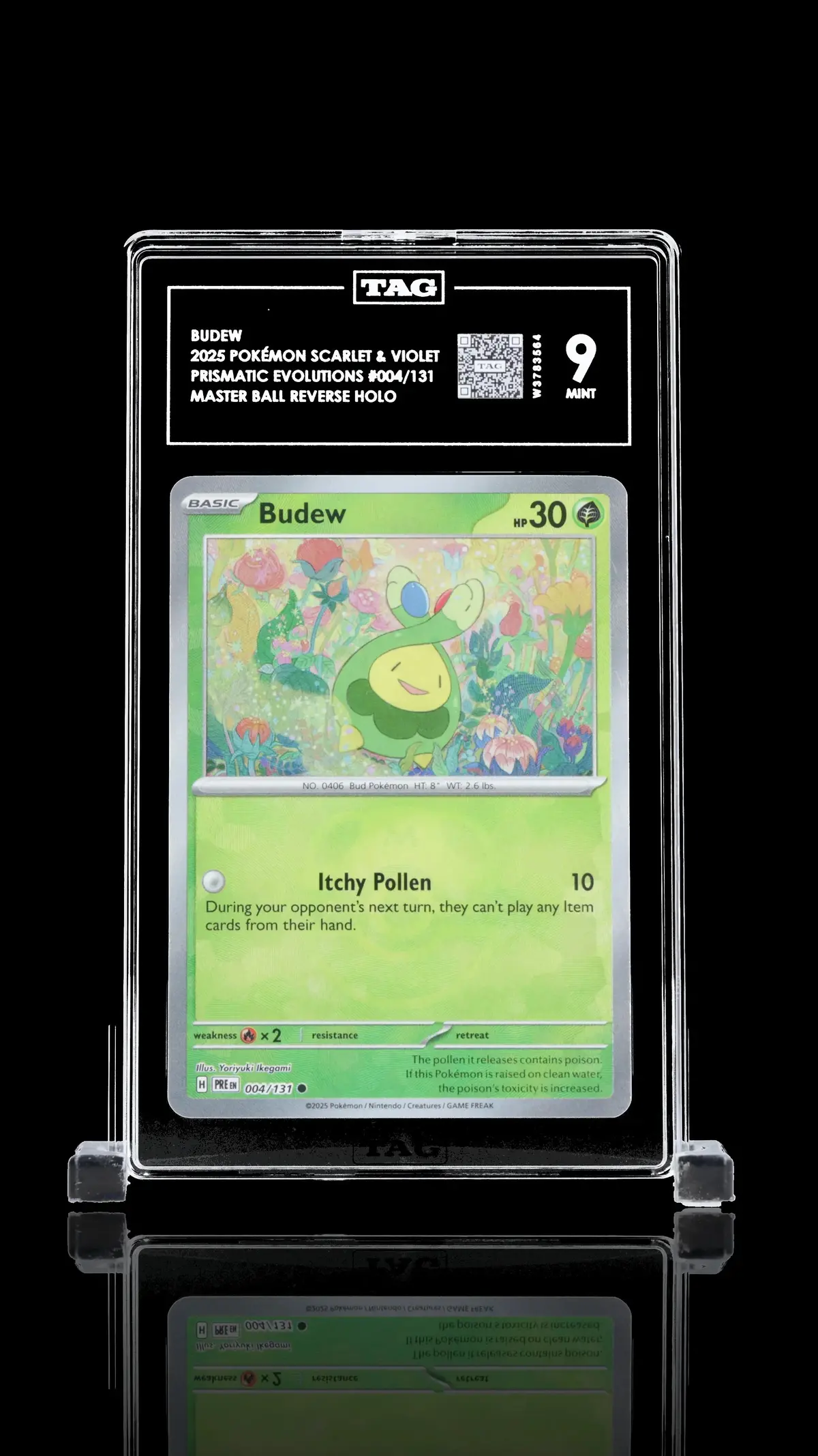 Tag 9 - Budew #004 Masterball 1