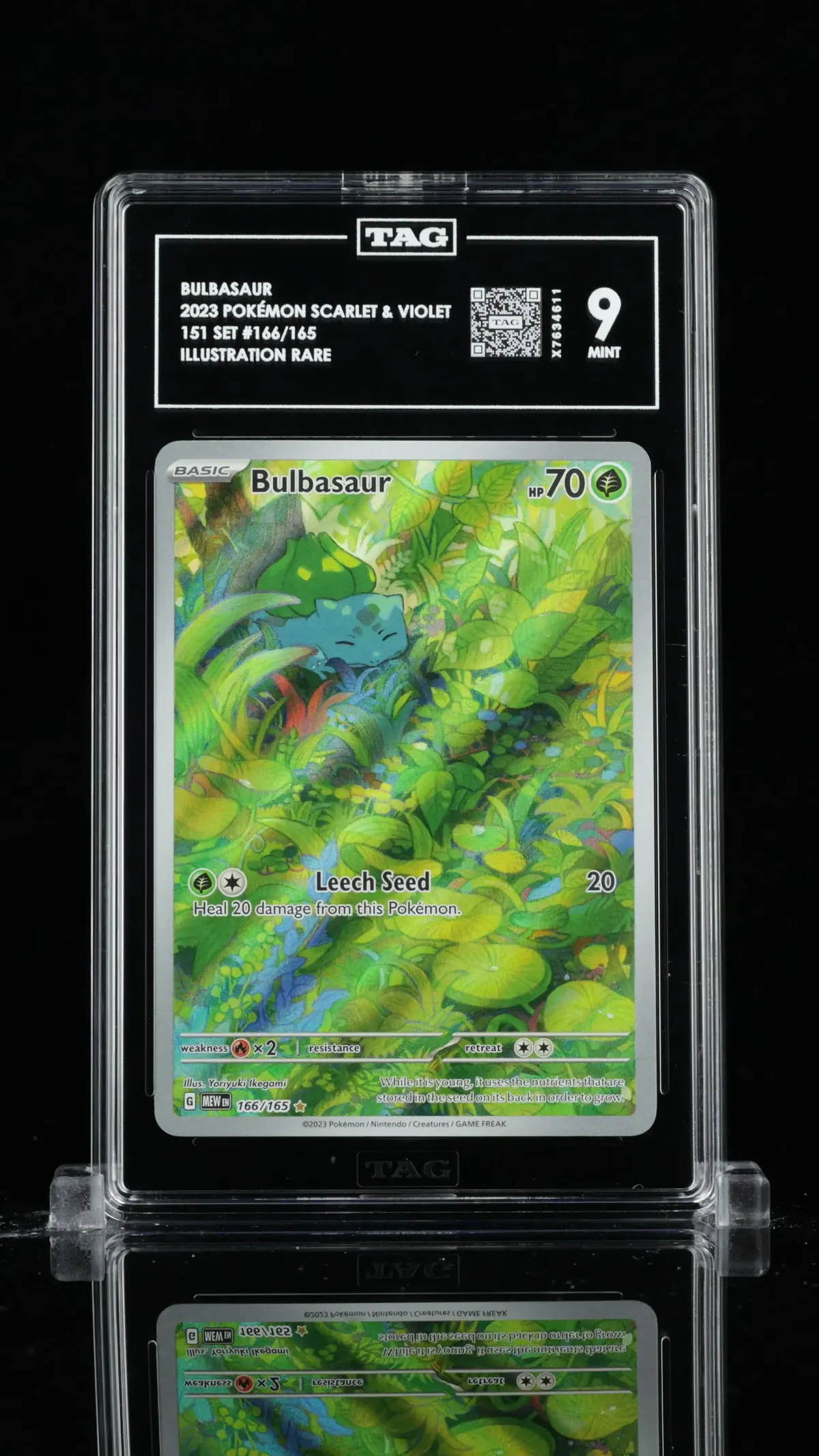 Tag 9 - Bulbasaur #166 1