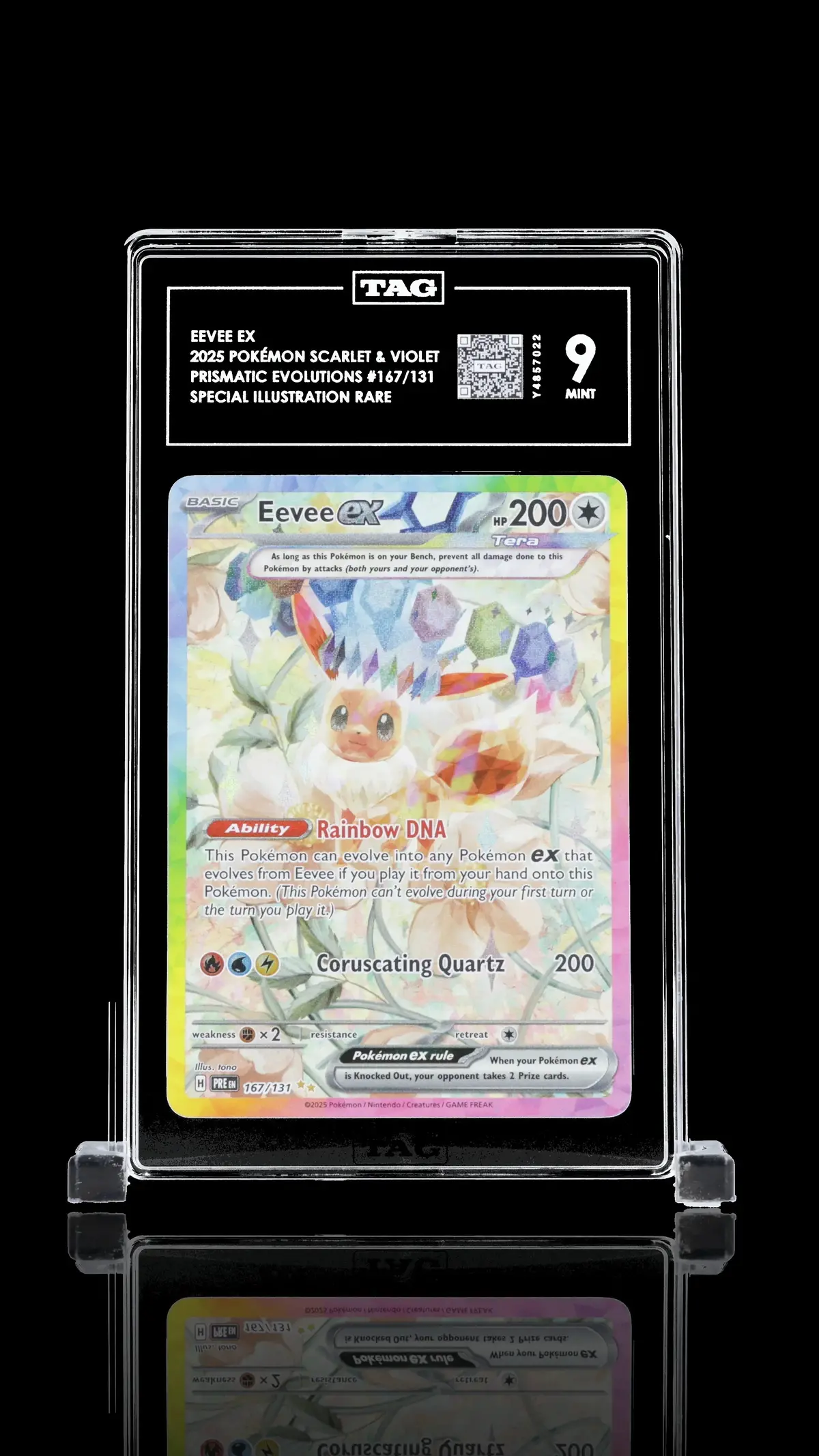 Tag 9 - Eevee Ex #167 1
