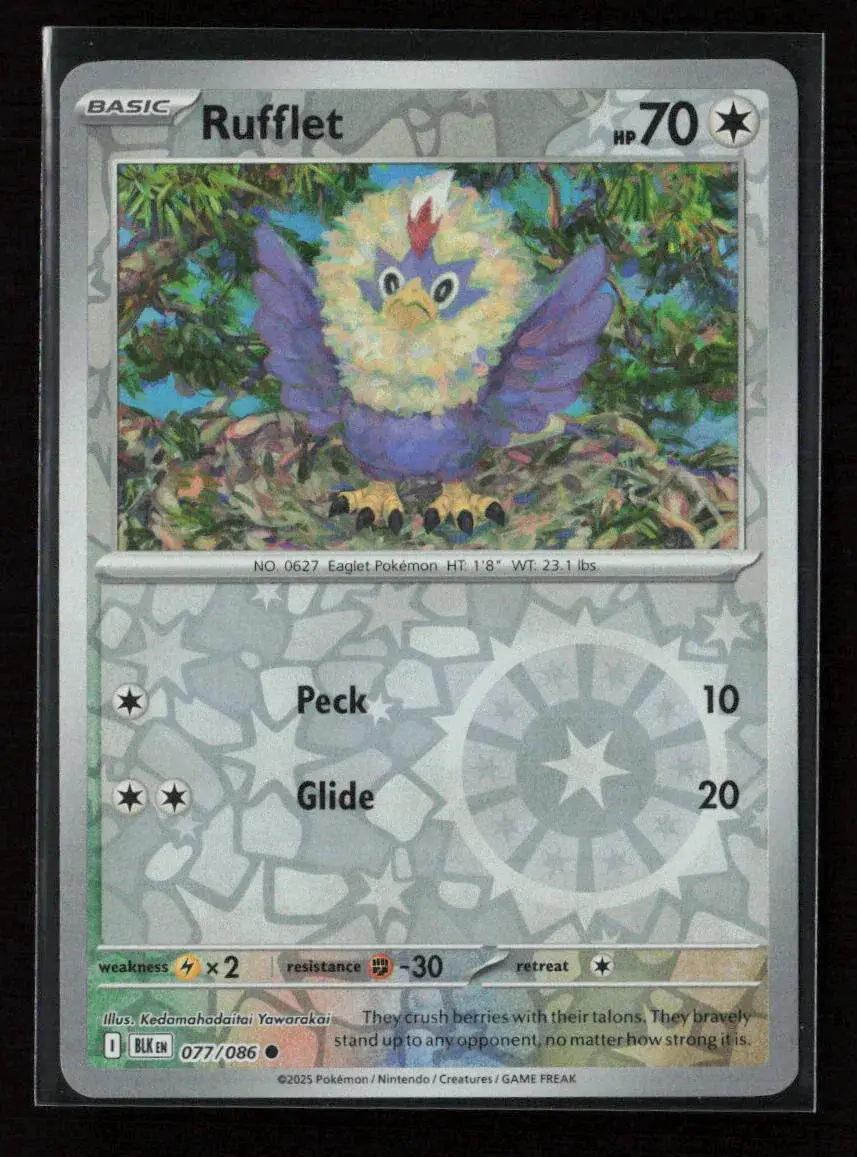 Rufflet Common Sv: Black Bolt 077/086 Nm 1