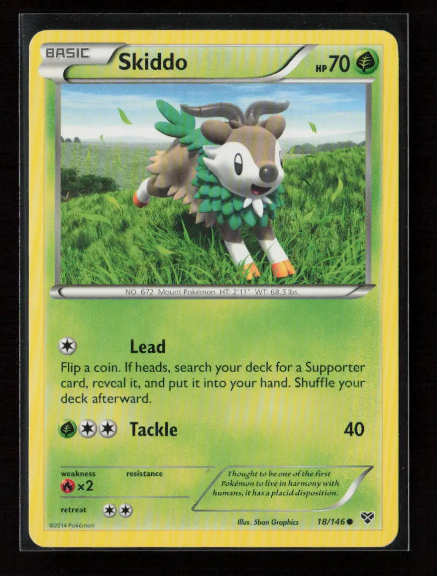 Skiddo Common Xy Base Set 18/146 Lp 1