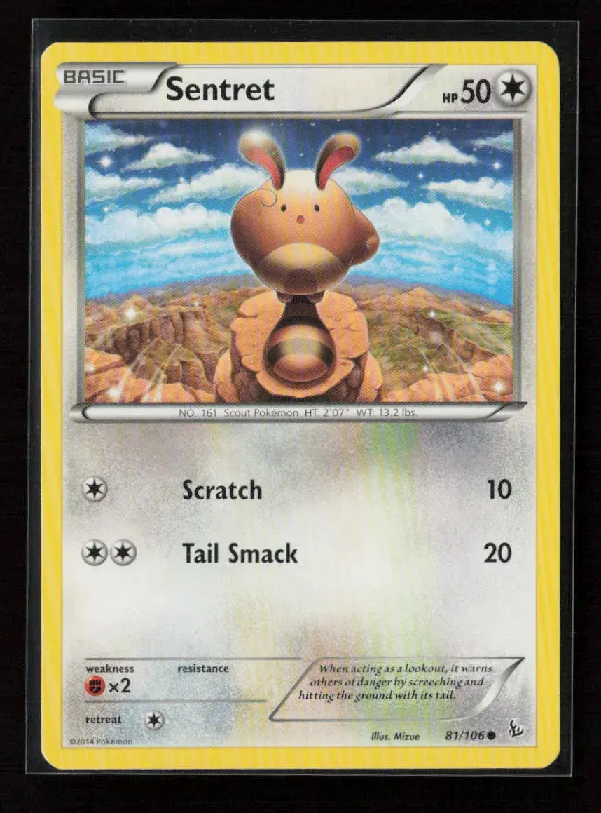 Sentret Common Xy - Flashfire 81/106 Nm 1