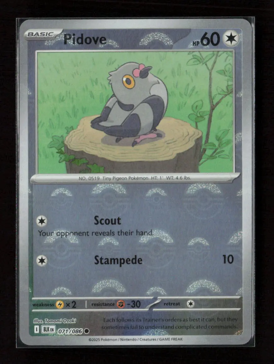 Pidove (Poke Ball Pattern) Common Sv: Black Bolt 071/086 Nm 1