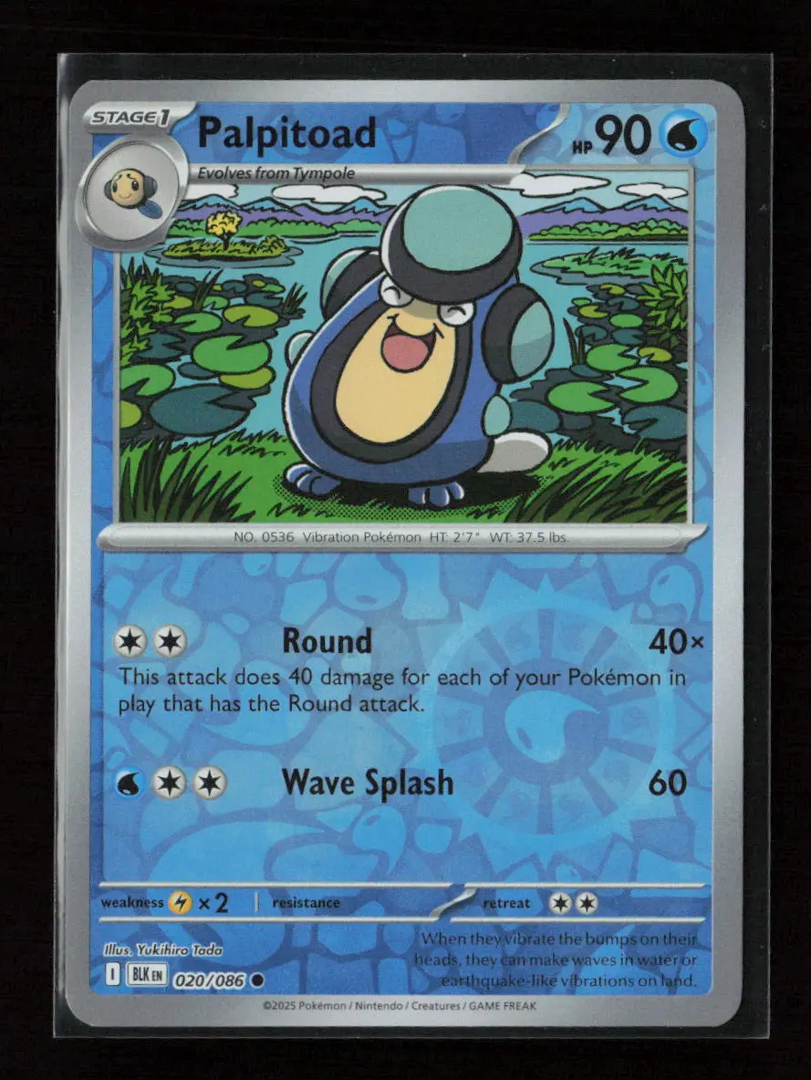 Palpitoad Common Sv: Black Bolt 020/086 Nm 1