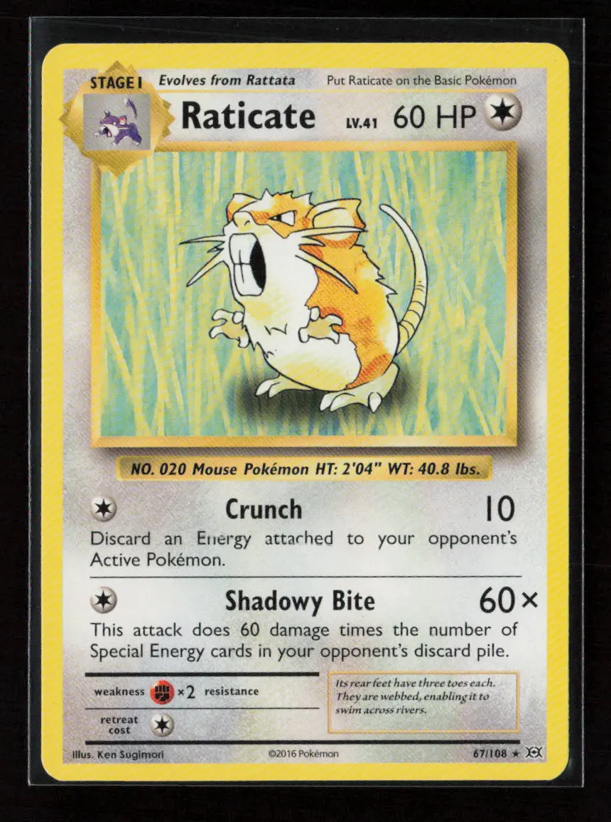 Raticate Rare Xy - Evolutions 67/108 Lp 1