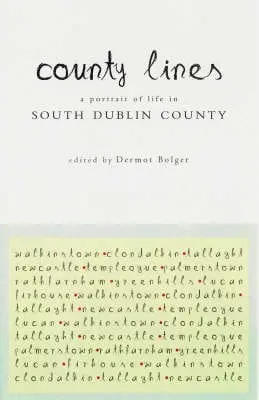 Dermot Bolger: County Lines [2006] Paperback 1