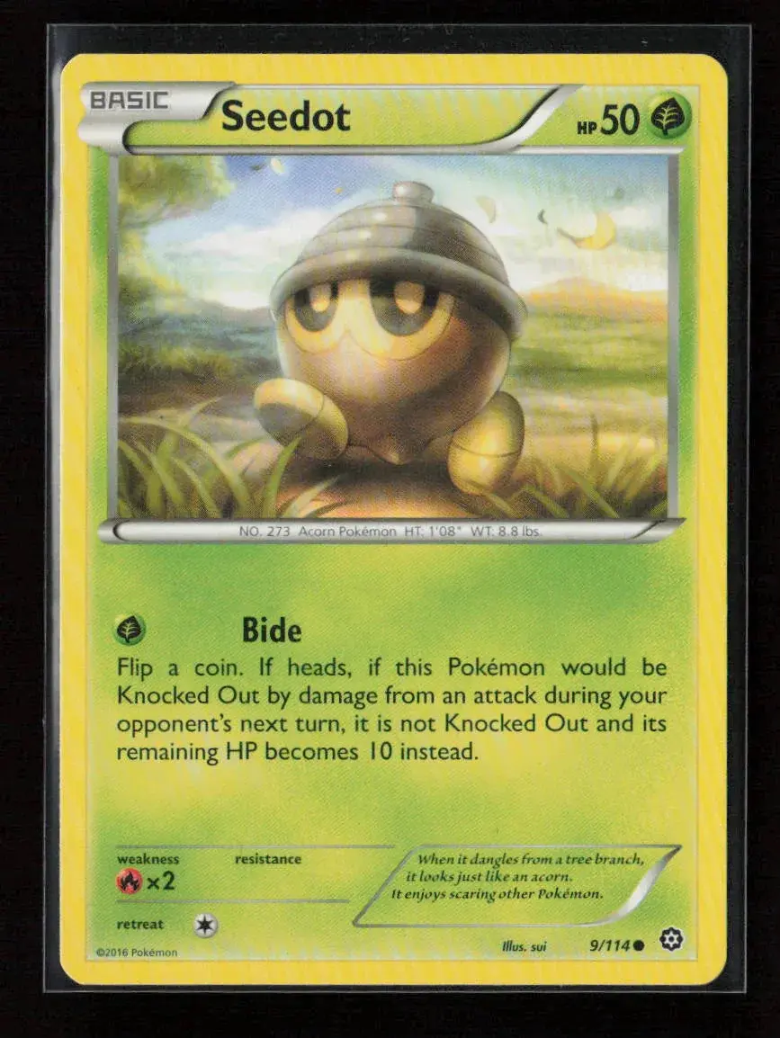 Seedot Common Xy - Steam Siege 9/114 Nm 1