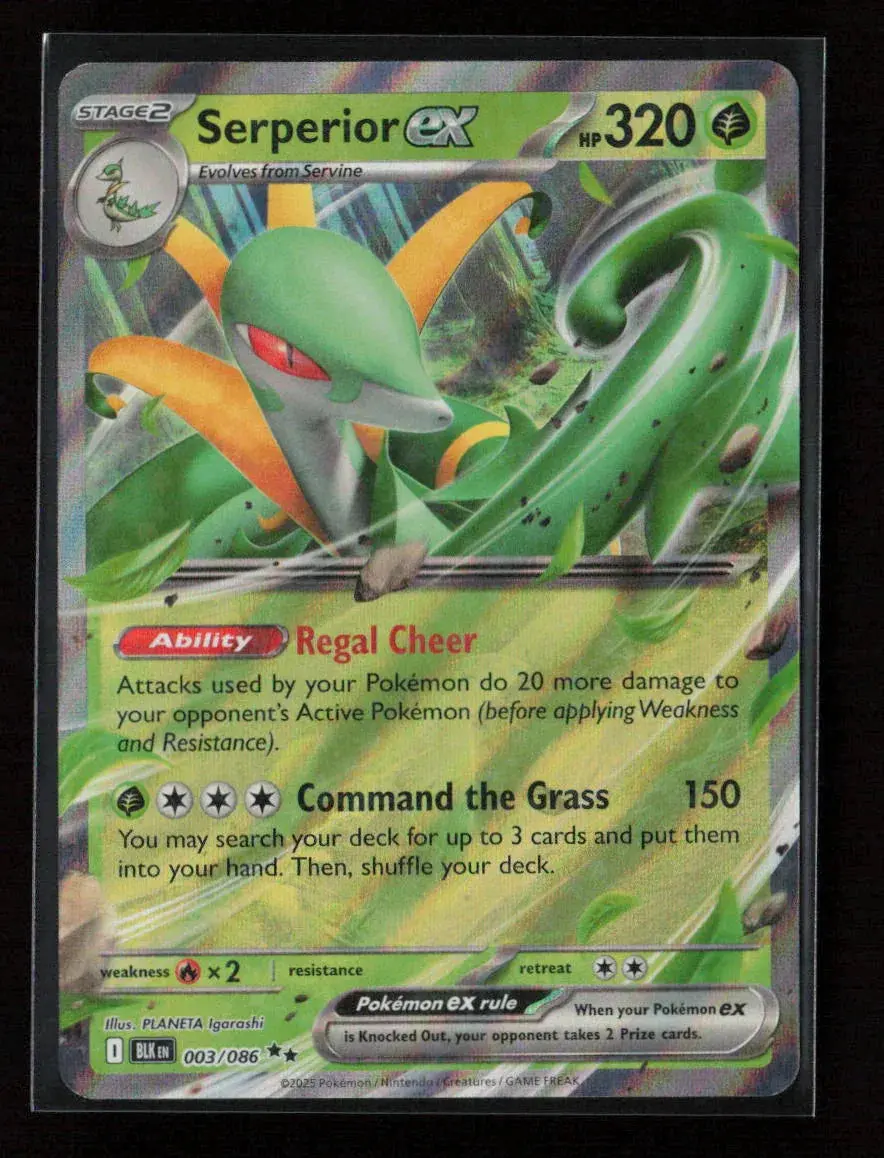 Serperior Ex Double Rare Sv: Black Bolt 003/086 Nm 1