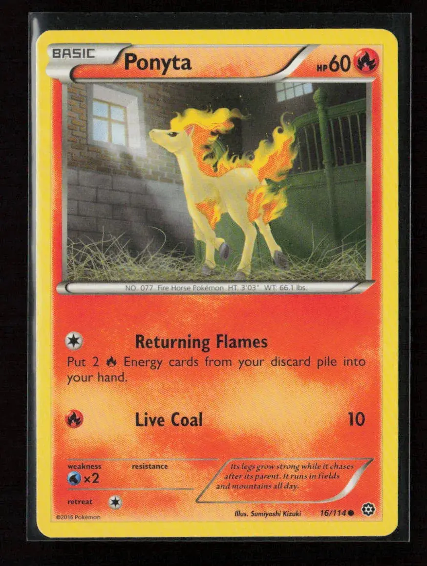 Ponyta Common Xy - Steam Siege 16/114 Nm 1