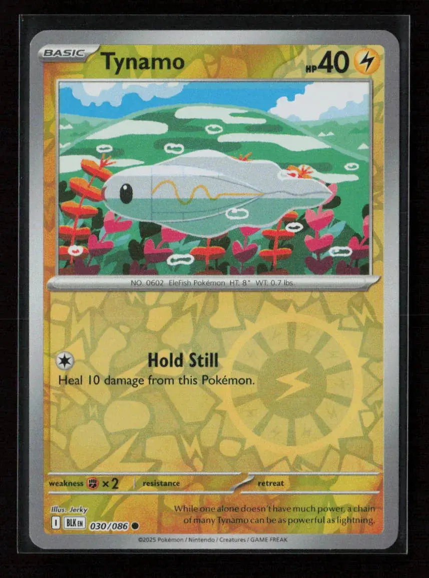 Tynamo Common Sv: Black Bolt 030/086 Nm 1