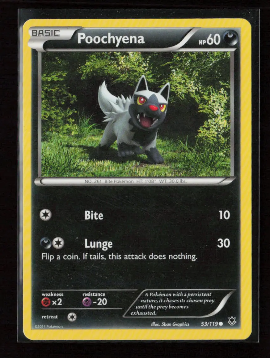 Poochyena Common Xy - Phantom Forces 53/119 Lp 1