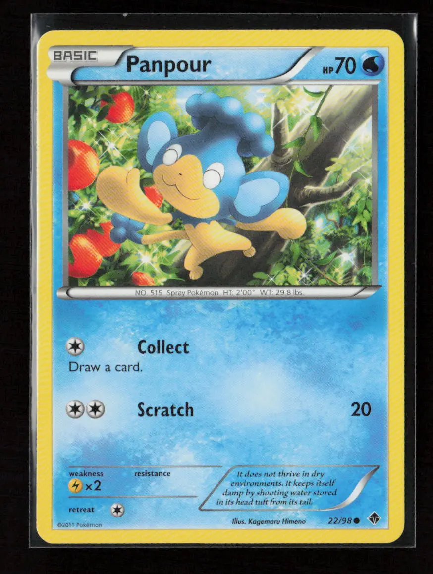 Panpour Common Emerging Powers 22/98 Lp 1